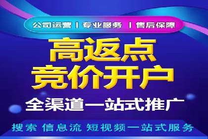 搜索开户返点揭秘：成功案例教你赚钱